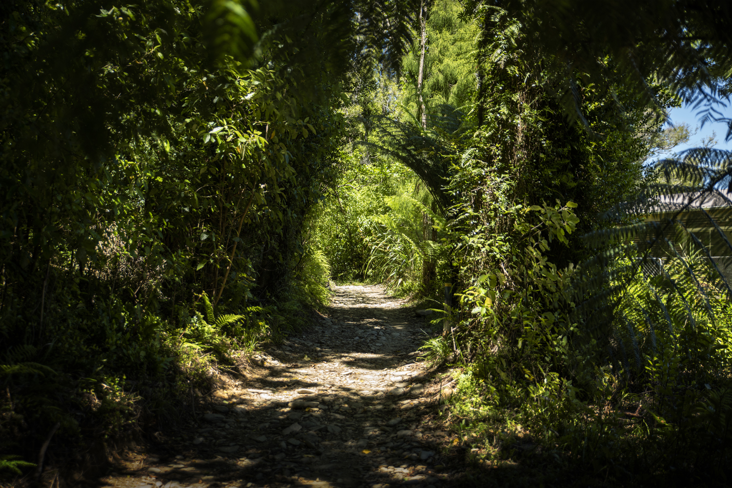 Surinder Tayebi The No Road Inn QCS RBPHOTO 30